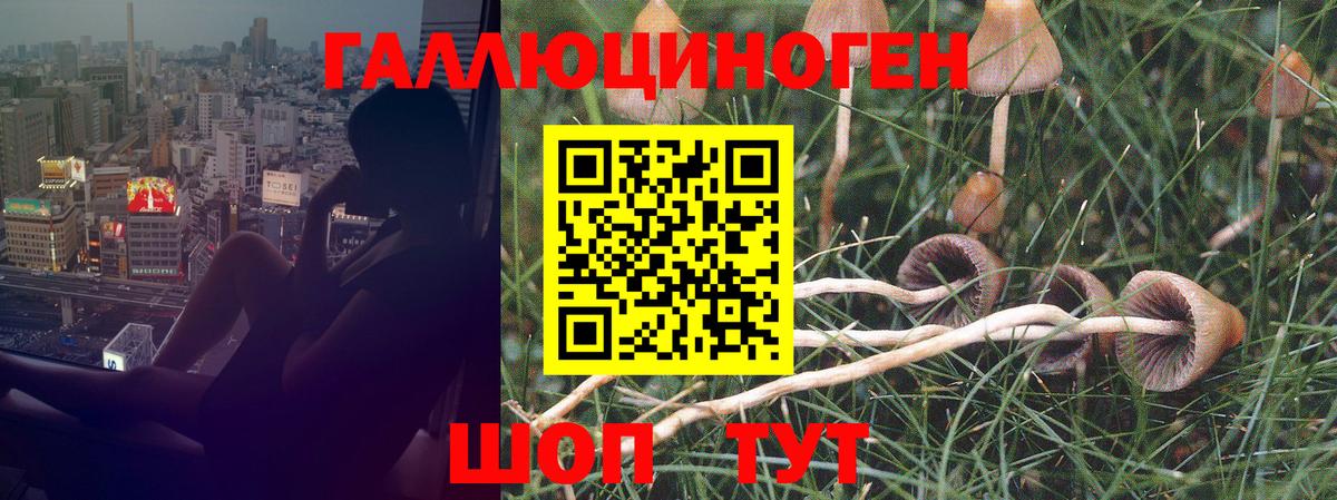 Галлюциногенные грибы MAGIC MUSHROOMS Дзержинский